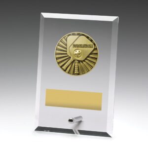 Glass Plaques - Pickleball