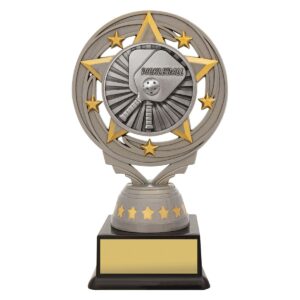 Silver Pickleball Torch