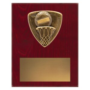 Nova Plaque - Netball