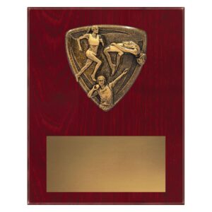 Nova Plaque - Track & Field