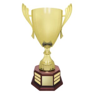 Concordia Cup