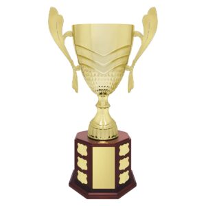 Ensign Cup