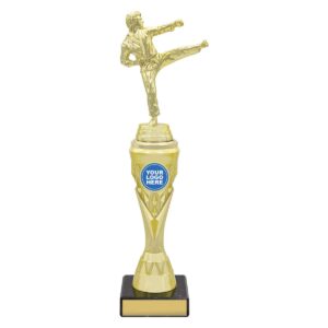 Karate Gold Vector